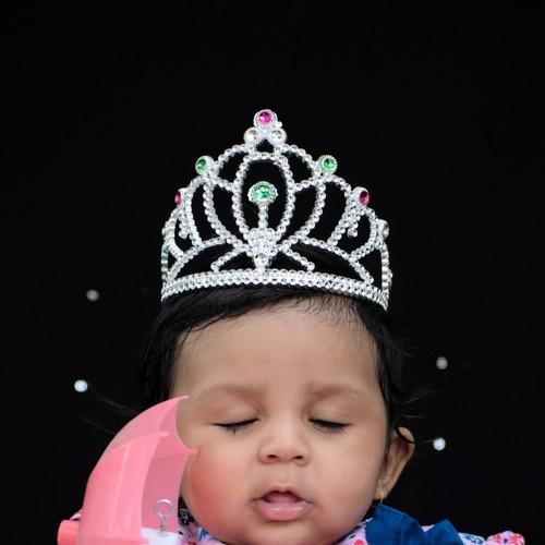 Photo #4650541