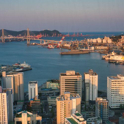Photo #4650998