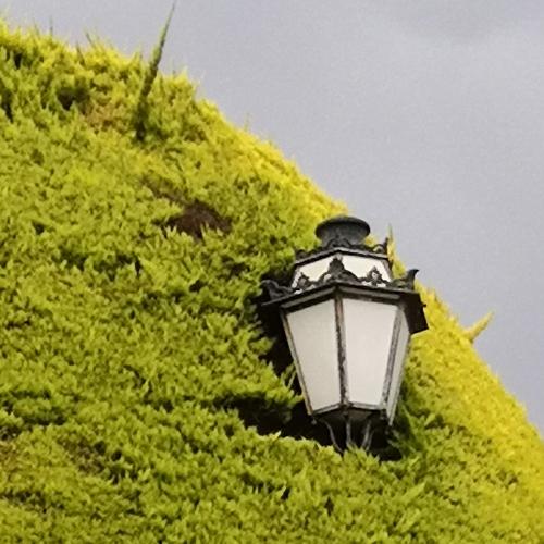 Photo #4651320