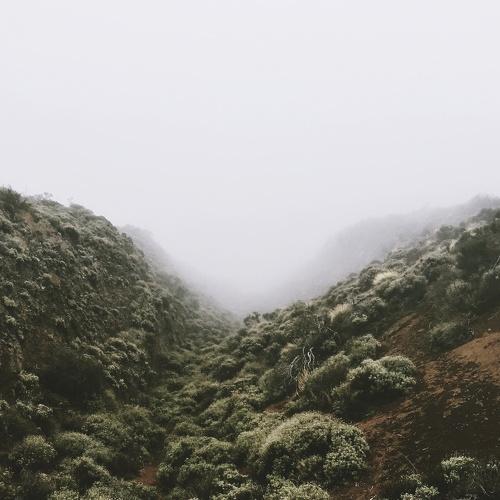 Photo #4651369