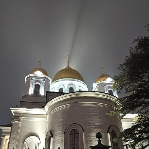 Photo #4651422