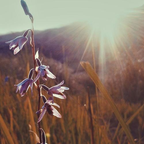 Photo #4651548