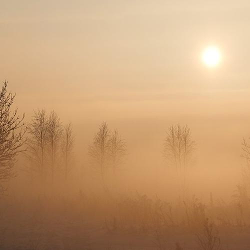 Январские туманы