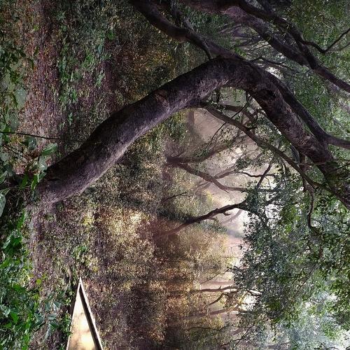 Photo #4651659