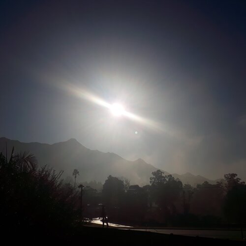Photo #4652007