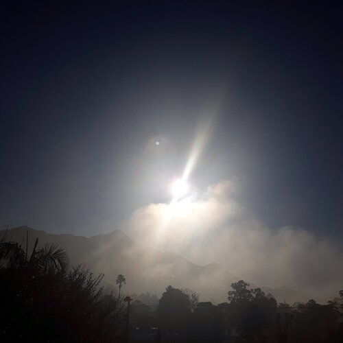 Photo #4652009
