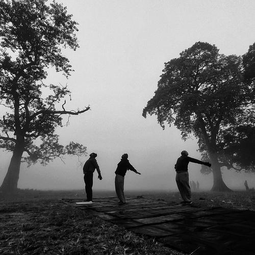 Photo #4652276