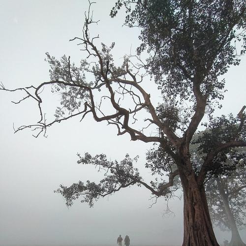 Photo #4652277