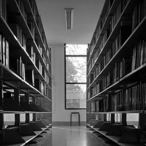The library