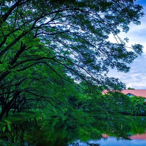 The beautiful Nature.
