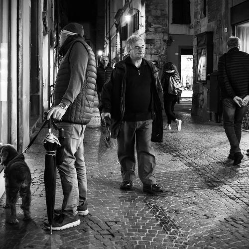 Photo #4652558