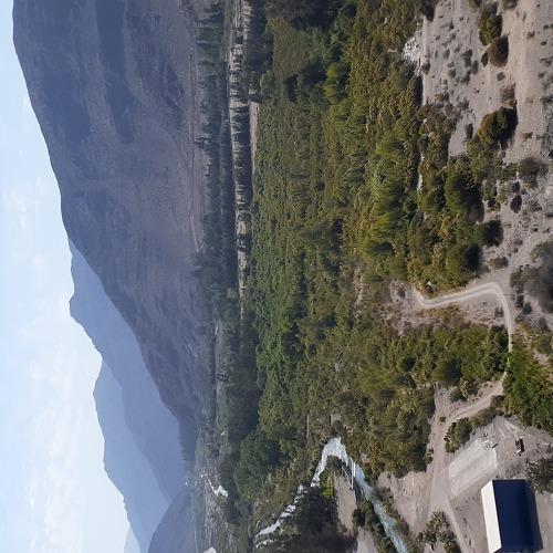 Photo #4652792