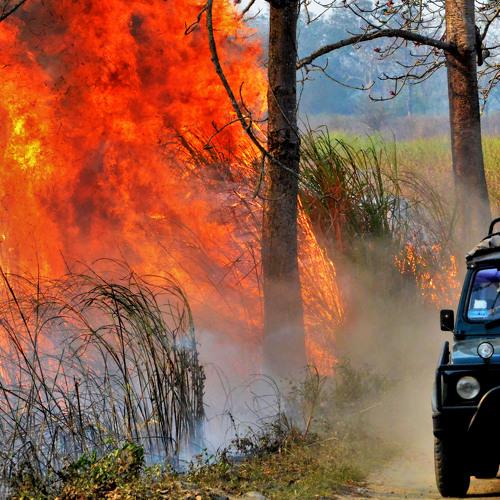 Фотография #4653119