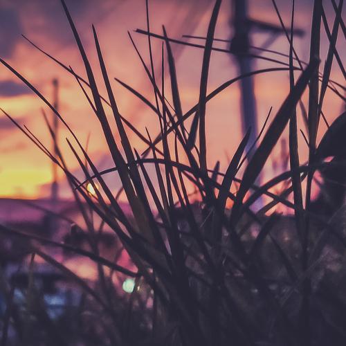 Photo #4653124