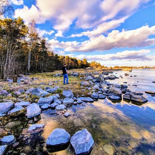 Photo #4653392