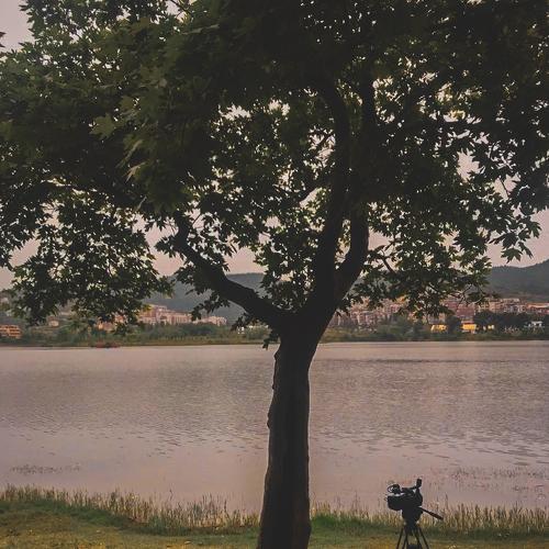 Photo #4653488