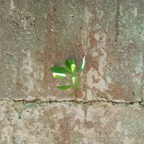 Photo #4653491