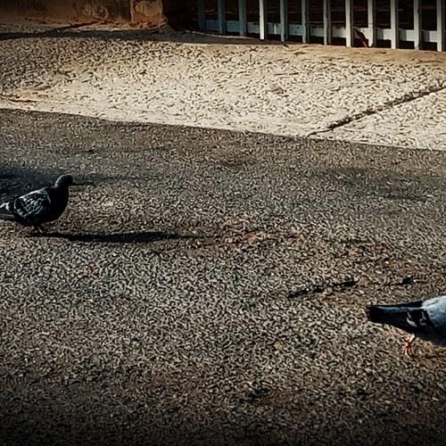 Photo #4653512