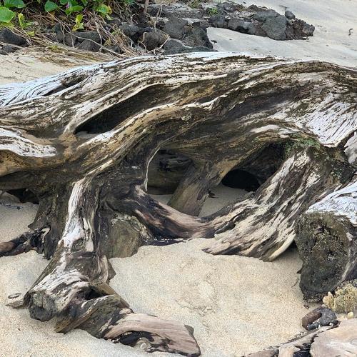Photo #4653686
