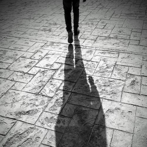 Photo #4653725
