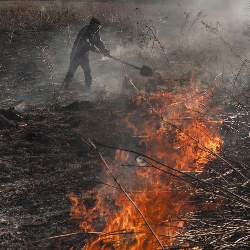 Photo #4653767