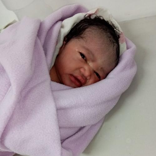 Photo #4653859
