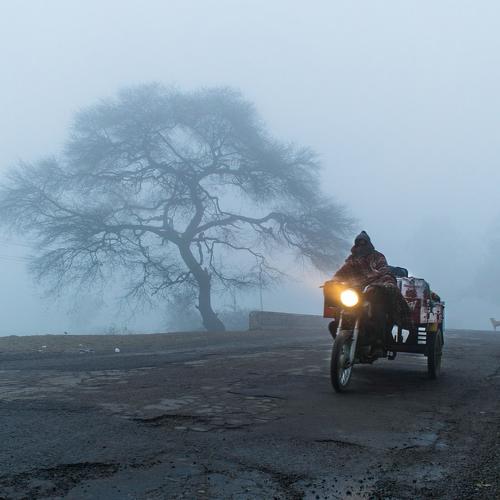 Photo #4653949