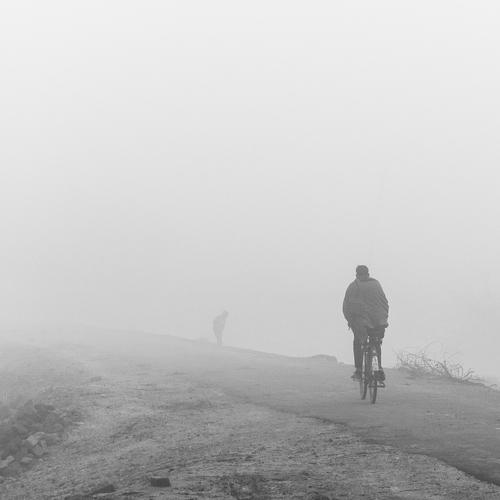 Photo #4653950