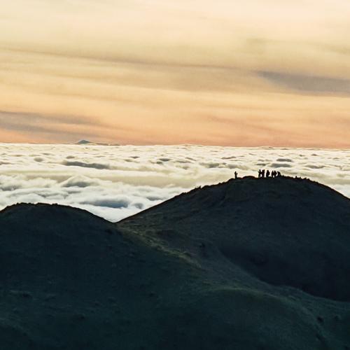 Photo #4654183