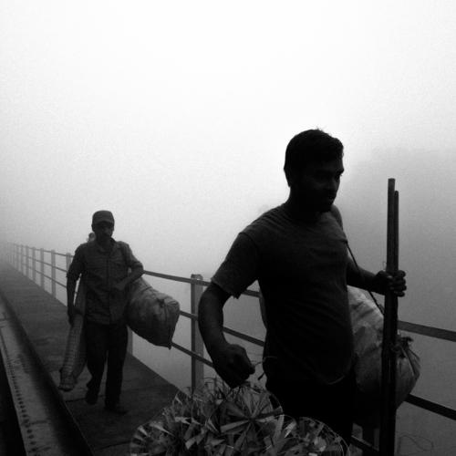 Photo #4654264