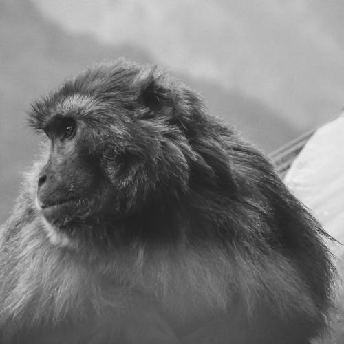 Photo #4654316