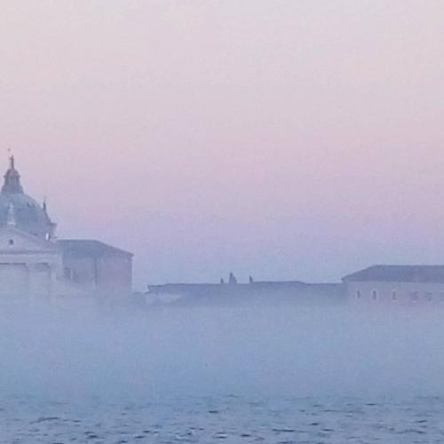 Photo #4654464