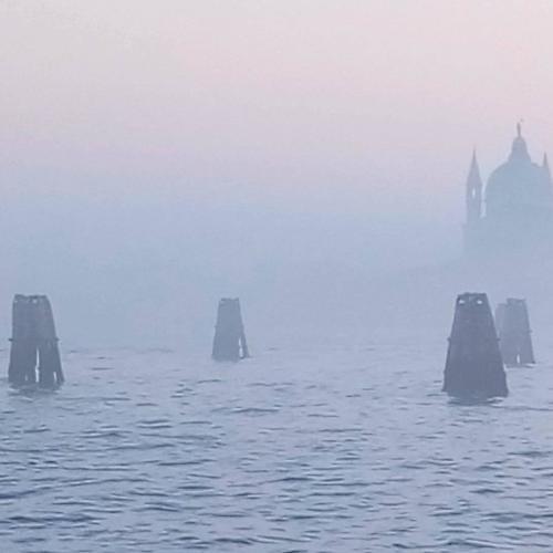 Photo #4654472