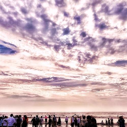 Photo #4654576