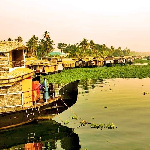 Photo #4654578