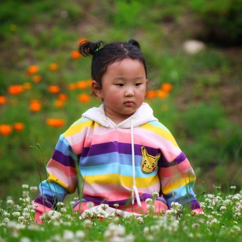 Photo #4654875