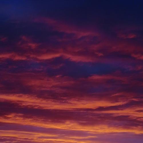 Photo #4654886