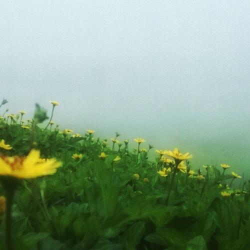 Photo #4655062