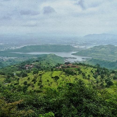 Photo #4655063