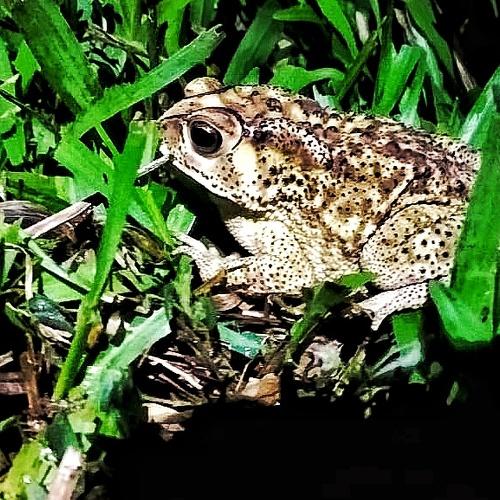 Photo #4655071