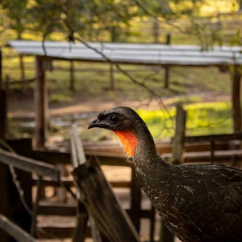 Photo #4655120