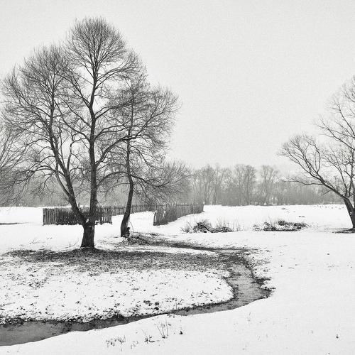 Wintertale in Romania