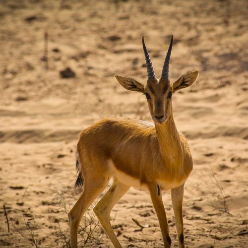 Photo #4655211