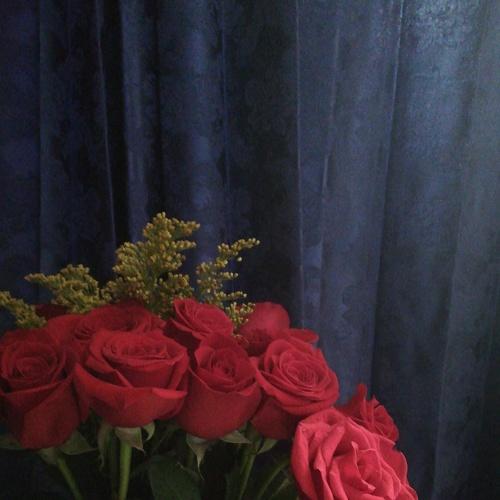 Photo #4655313