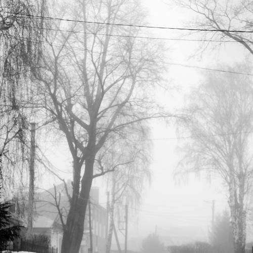 Photo #4655338