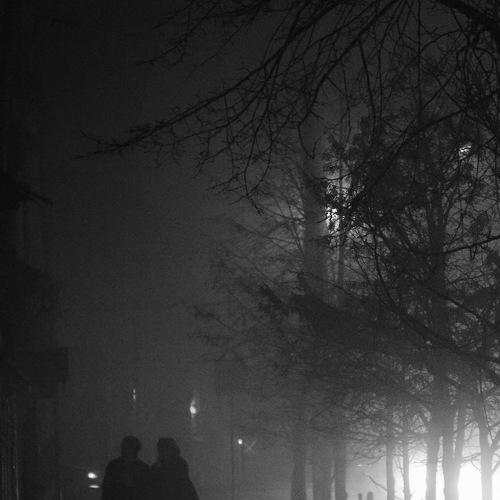 Photo #4655340
