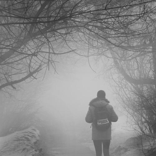 Photo #4655354