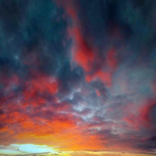 Photo #4655514