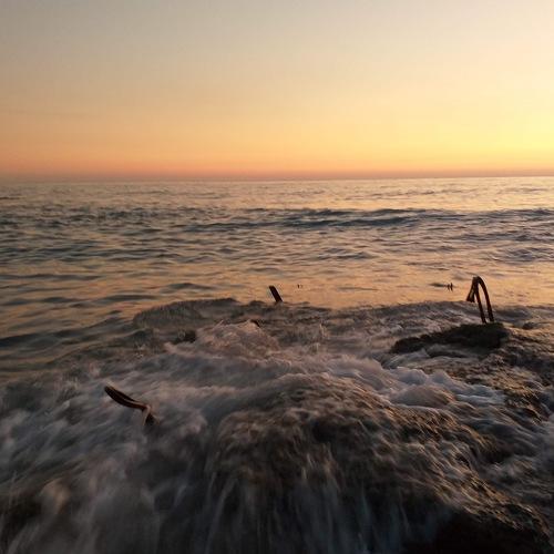 Photo #4655521