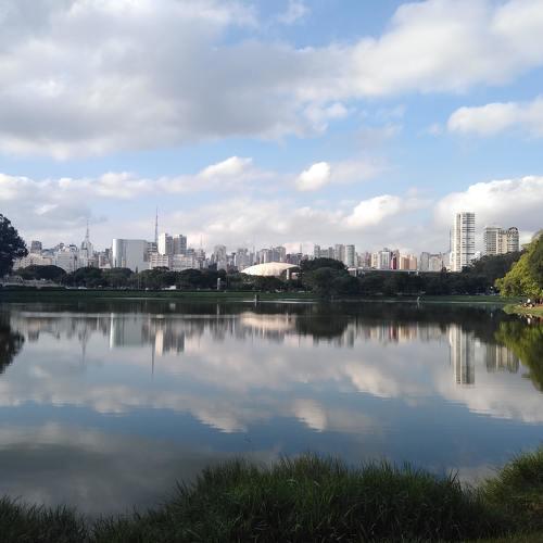Photo #4655592